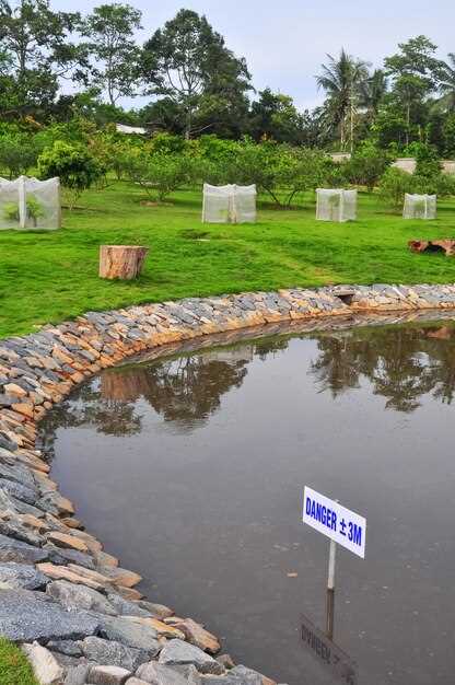 Greywater Systems 101 for Remote Retreat Centers Greywater Systems 101 for Remote Retreat Centers