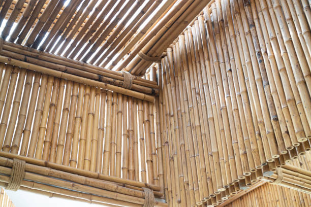 Building with Bamboo - Strength Building with Bamboo - Strength