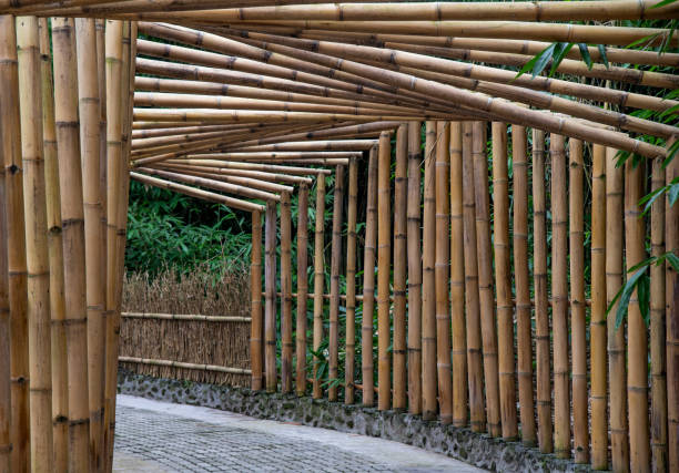Building with Bamboo - Strength Building with Bamboo - Strength